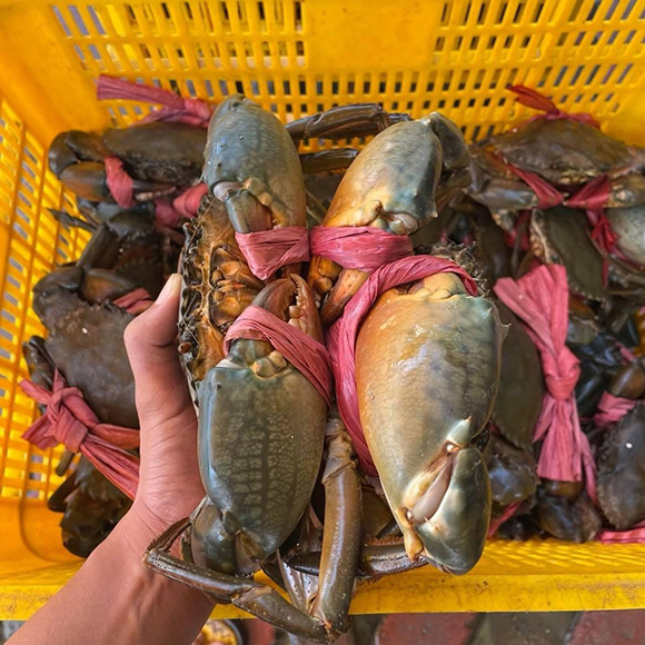Vì sao thực khách Sài Gòn lựa chọn Cua Việt là địa chỉ mua sắm hải sản tươi sống?