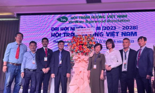 Tổ chức thành công Đại hội Hội Trầm Hương Việt Nam và ra mắt 21 Hội viên mới