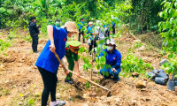 60.000 cây xanh rừng phòng hộ đầu nguồn sẽ được trồng trong Chương trình “Triệu cây xanh - Vì một Việt Nam xanh” năm 2023