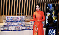 Hoa hậu Trịnh Thanh Hồng bất ngờ ủng hộ Giải thưởng sáng tạo quảng cáo Việt Nam.